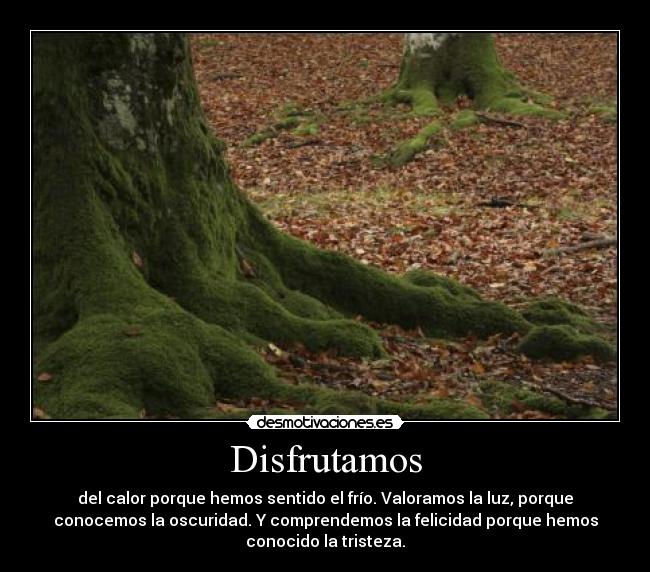 Disfrutamos -