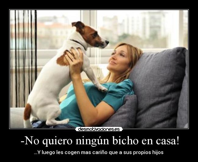 -No quiero ningún bicho en casa! - ...Y luego les cogen mas cariño que a sus propios hijos