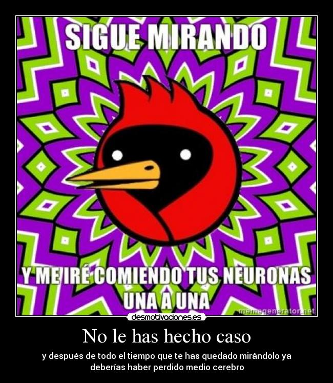 No le has hecho caso - y después de todo el tiempo que te has quedado mirándolo ya
deberías haber perdido medio cerebro