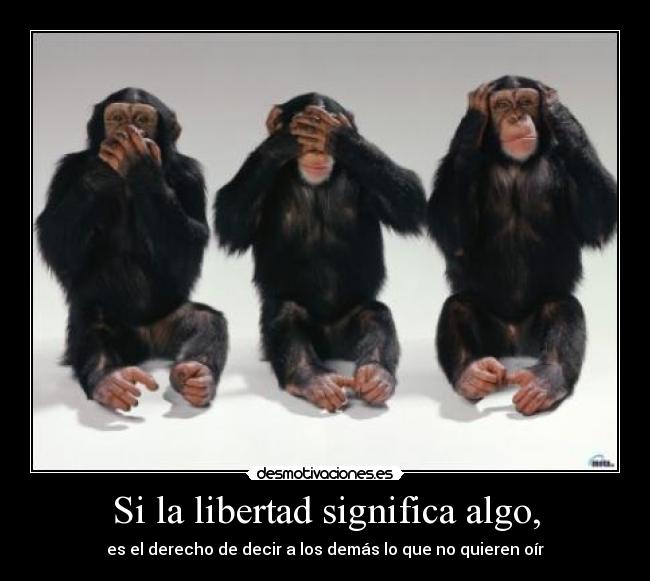 carteles libertad libertad significa algo desmotivaciones