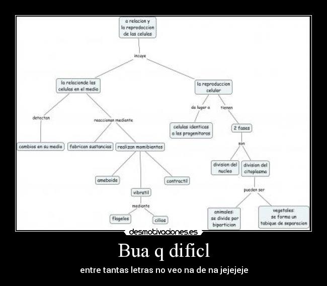 Bua q dificl -