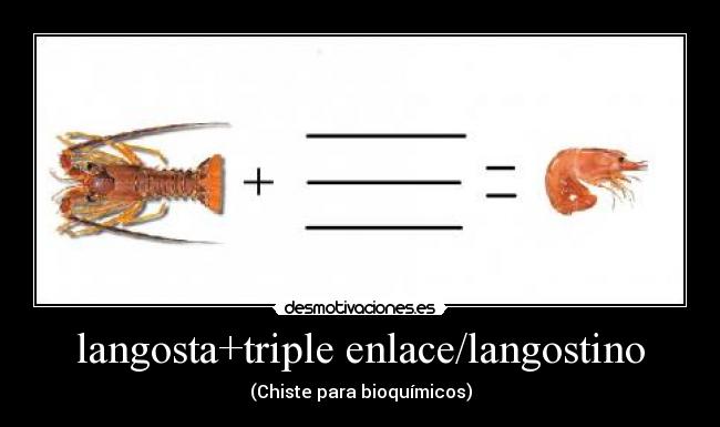 carteles espero q desmotivaciones