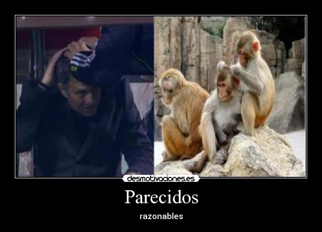 Parecidos -