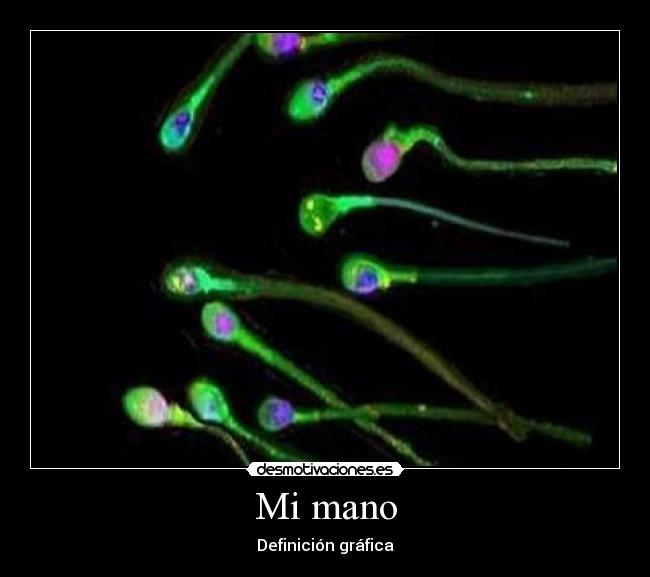 Mi mano - Definición gráfica