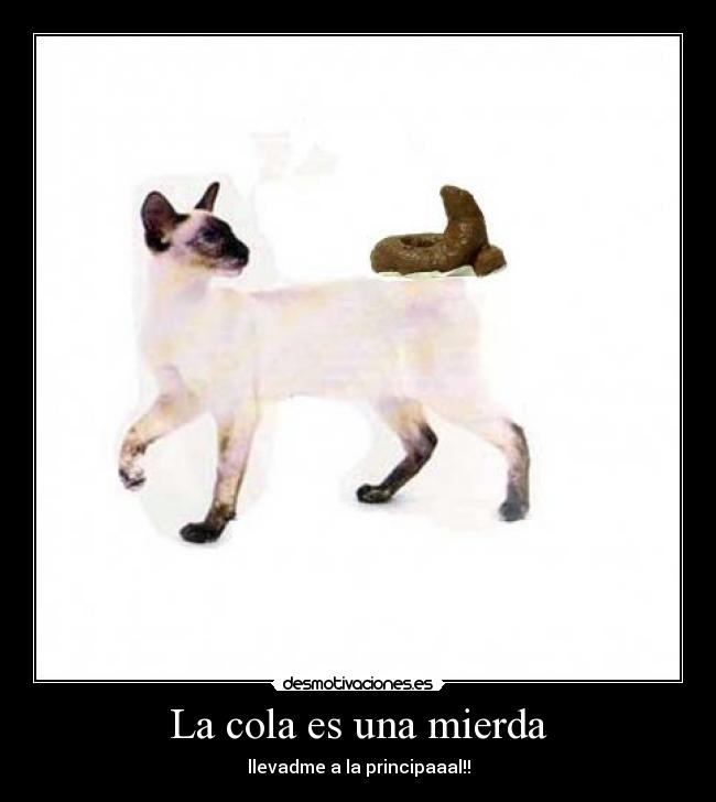 La cola es una mierda - llevadme a la principaaal!!