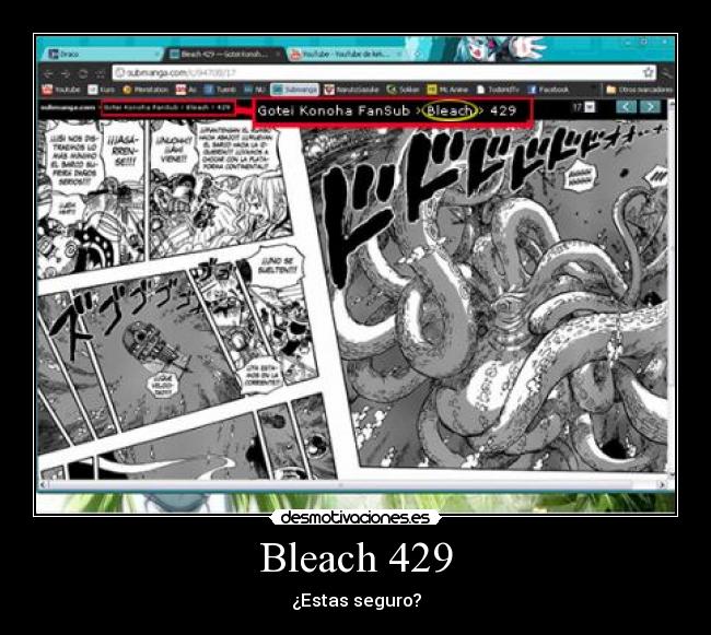 Bleach 429 -