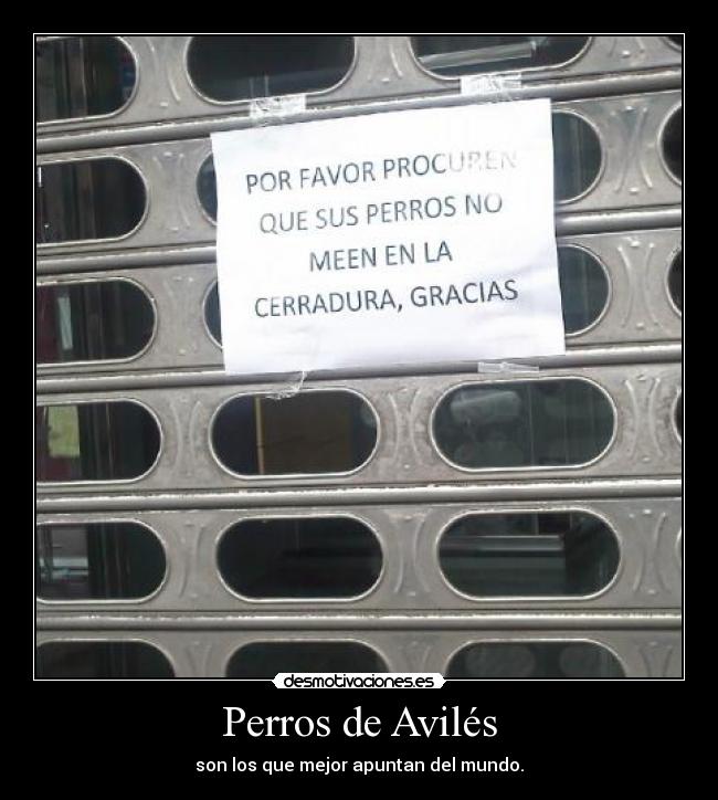 Perros de Avilés -