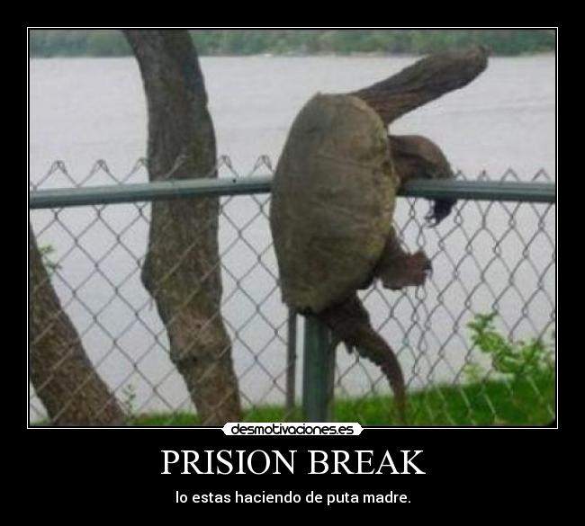 PRISION BREAK -