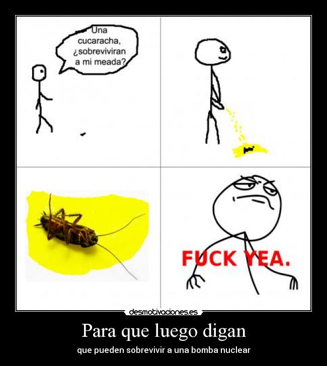 Para que luego digan - que pueden sobrevivir a una bomba nuclear