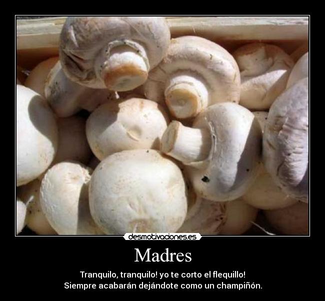 Madres - Tranquilo, tranquilo! yo te corto el flequillo!
Siempre acabarán dejándote como un champiñón.