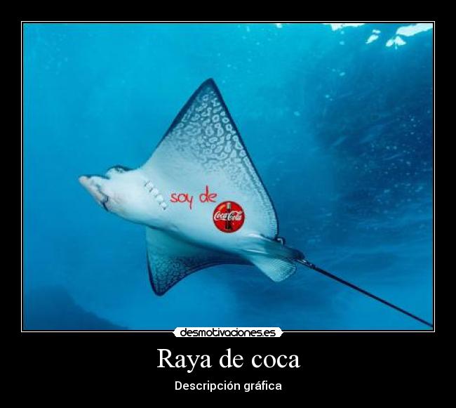 Raya de coca -
