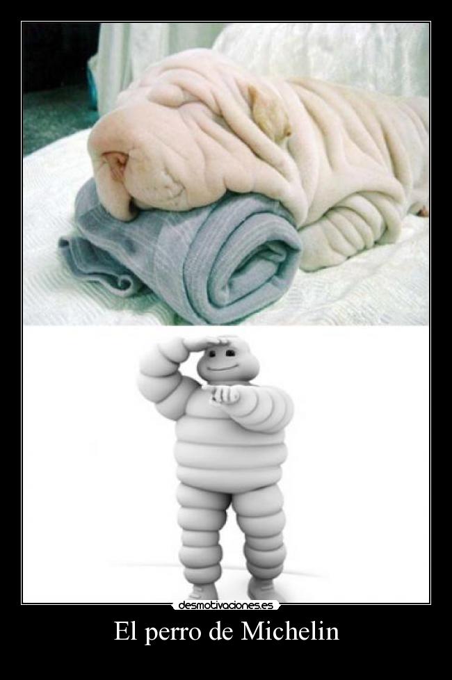 El perro de Michelin -