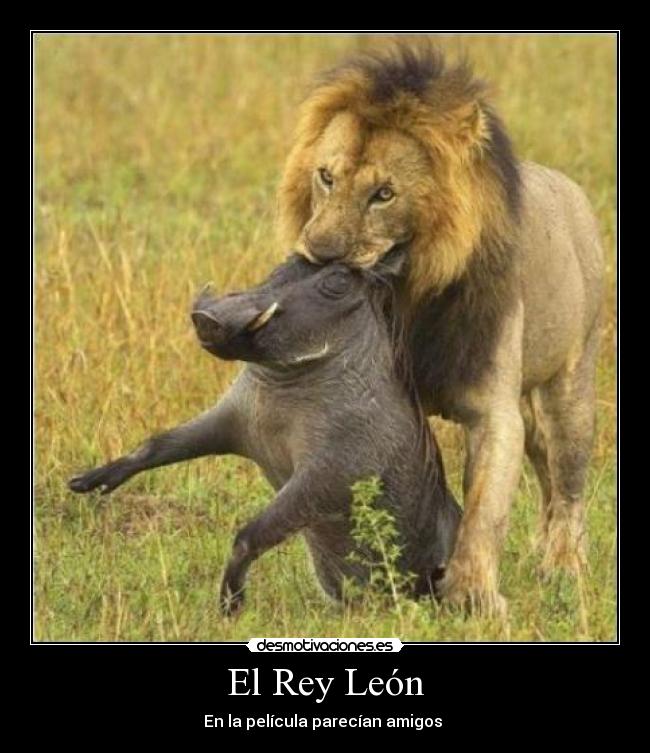El Rey León -