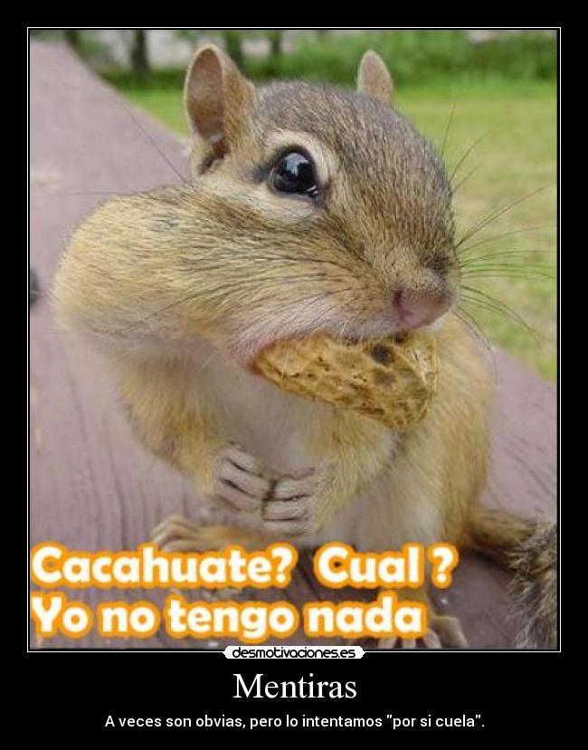 carteles ardilla cacahuete cacahuate mentiras obvio fail gracioso desmotivaciones