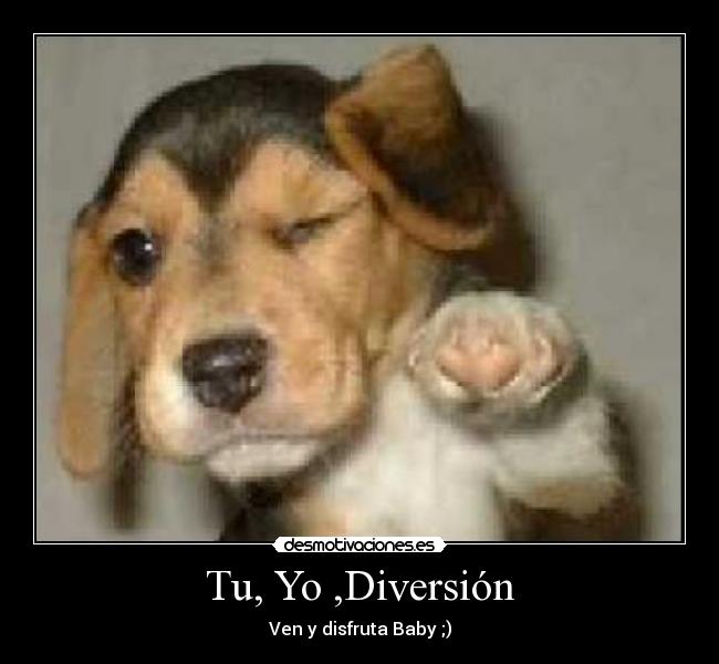 Tu, Yo ,Diversión - 