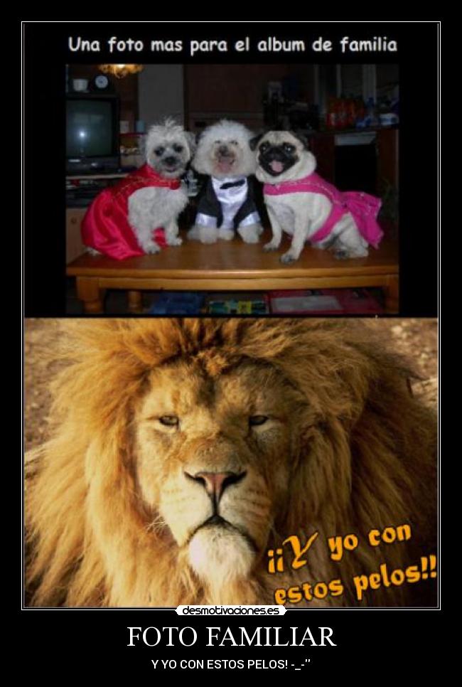 carteles animales familia desmotivaciones