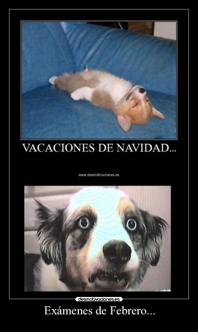 Exámenes de Febrero... - 