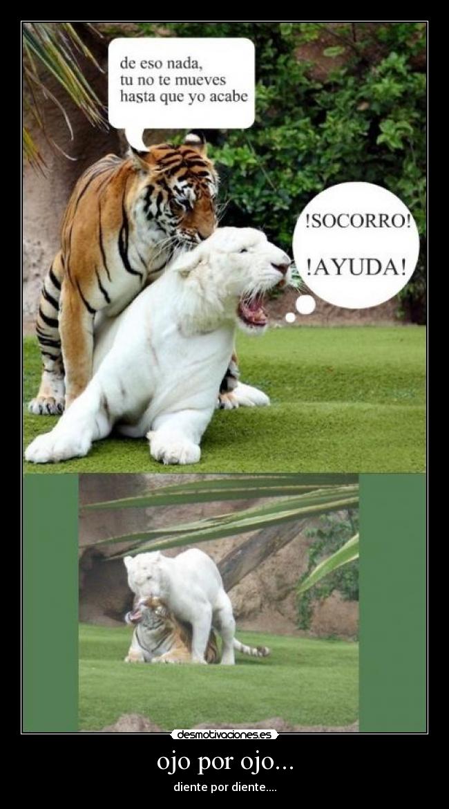 carteles ojo por ojo desmotivaciones