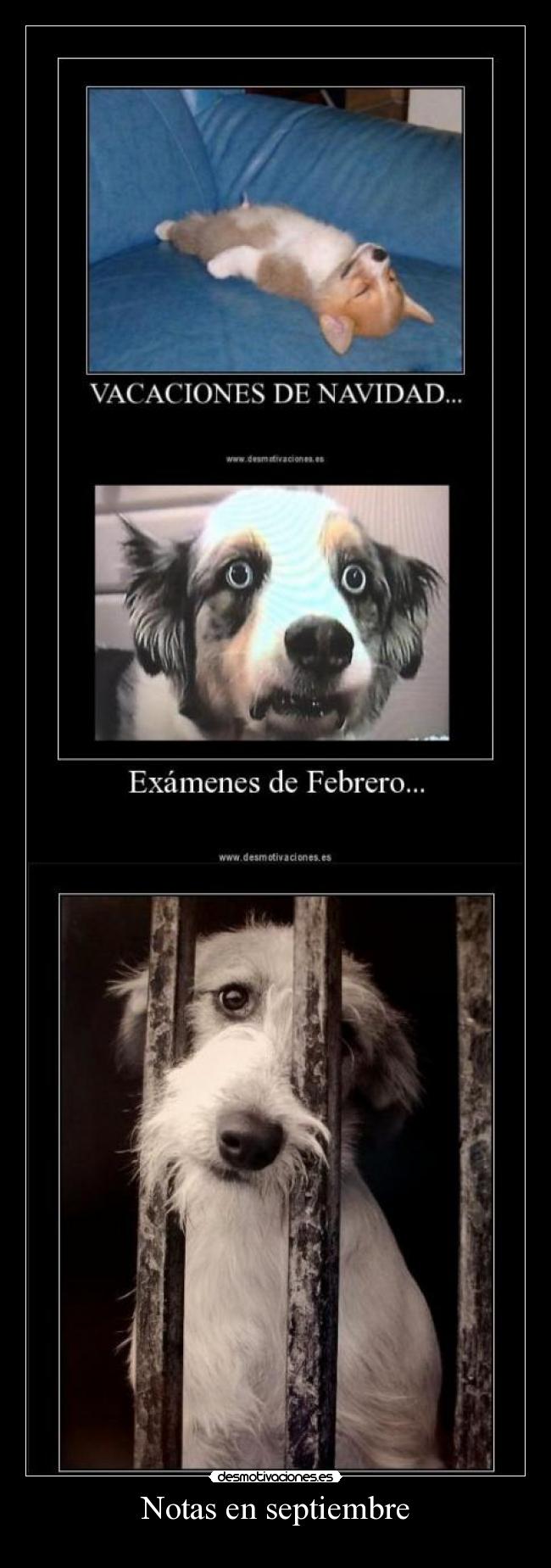 Notas en septiembre - 