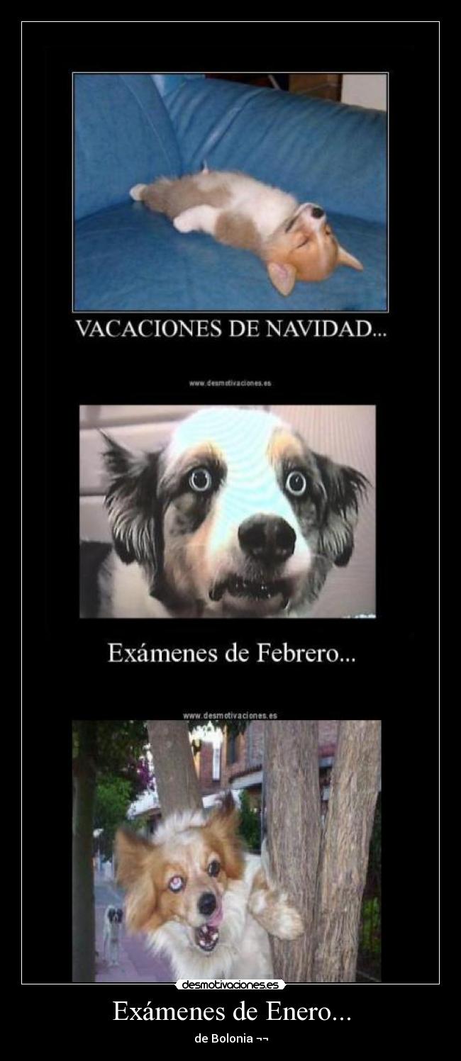 Exámenes de Enero... - 