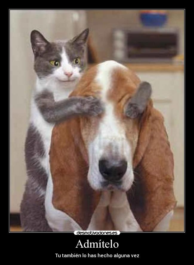 Admítelo - Tu también lo has hecho alguna vez