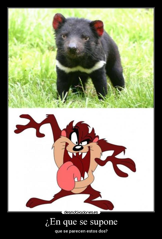 ¿En que se supone -