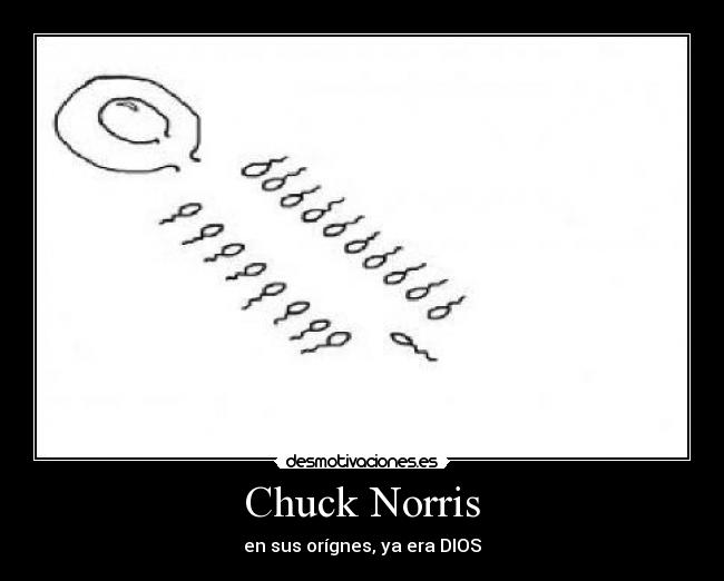Chuck Norris -