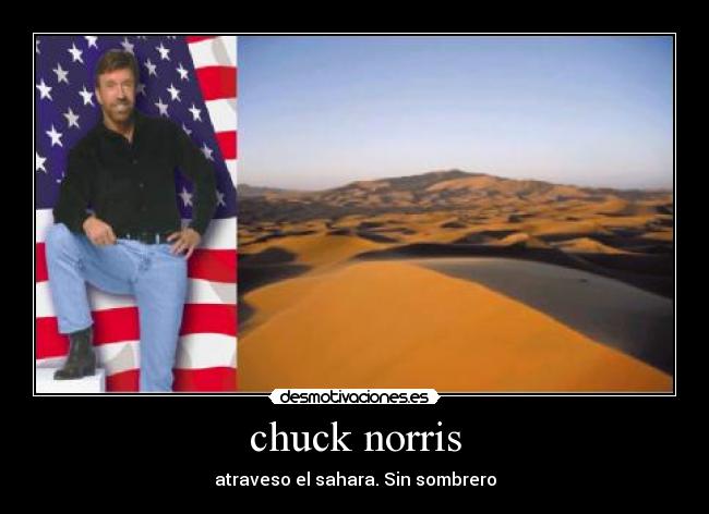 chuck norris - 
