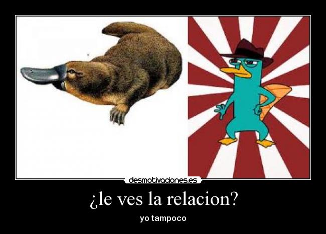 ¿le ves la relacion? - yo tampoco