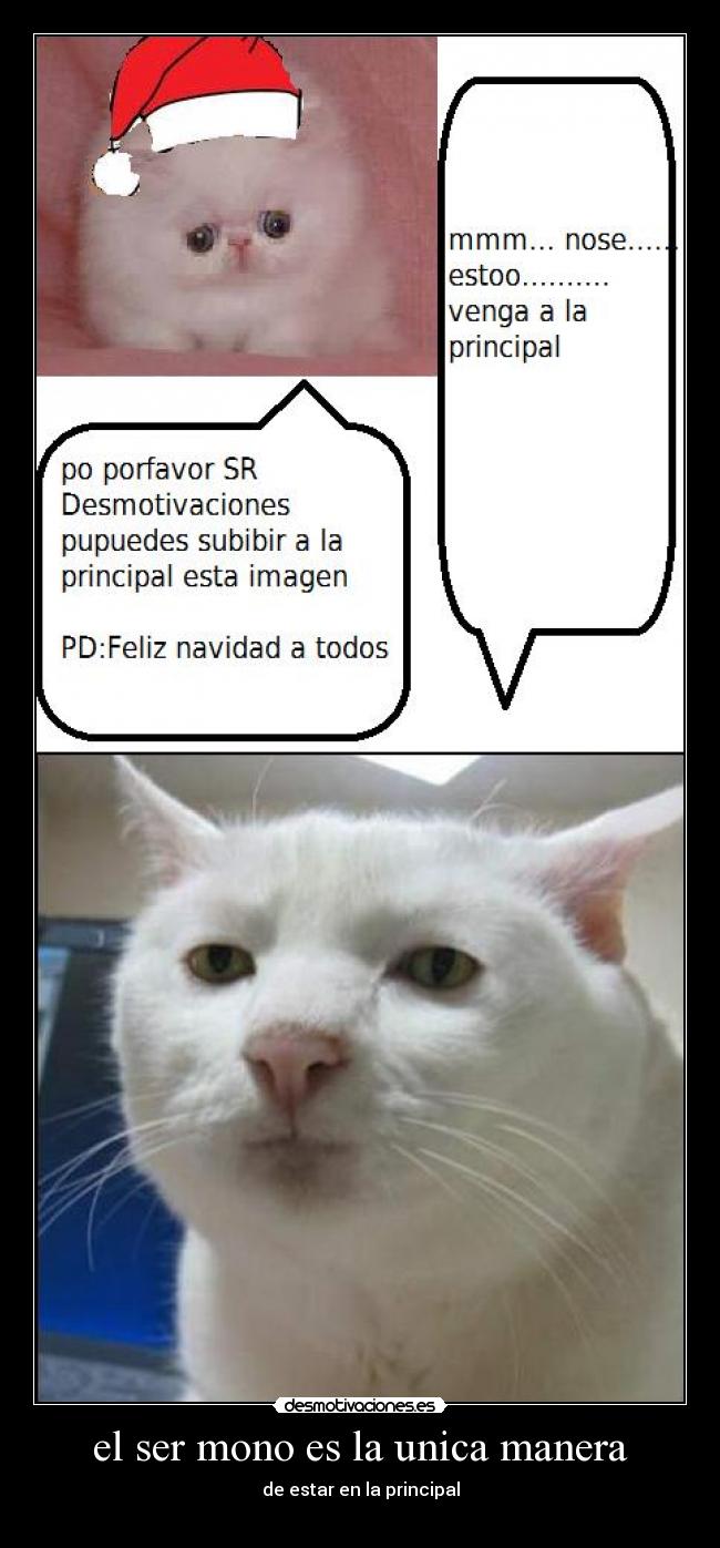 el ser mono es la unica manera - de estar en la principal
