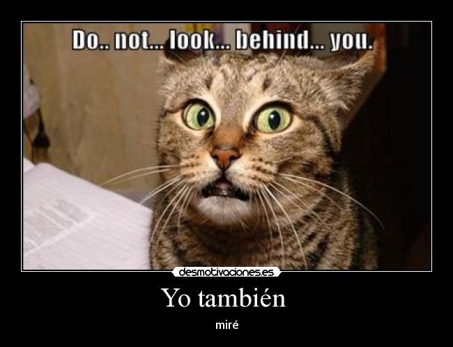 Yo también - miré