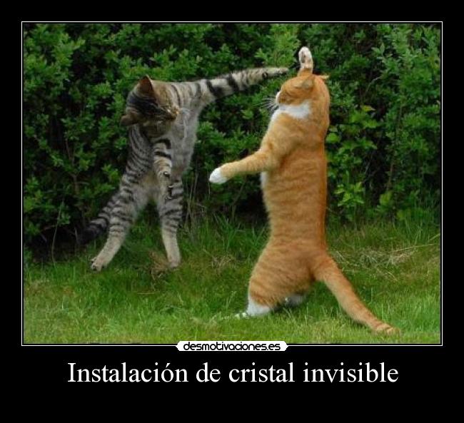 Instalación de cristal invisible -