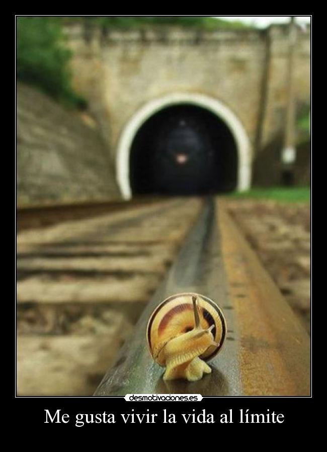 Me gusta vivir la vida al límite -