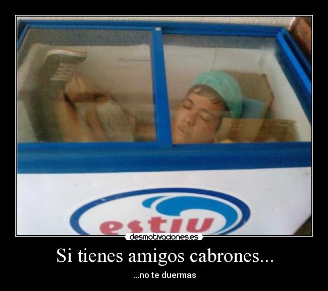 carteles amigos amigos cabrones desmotivaciones