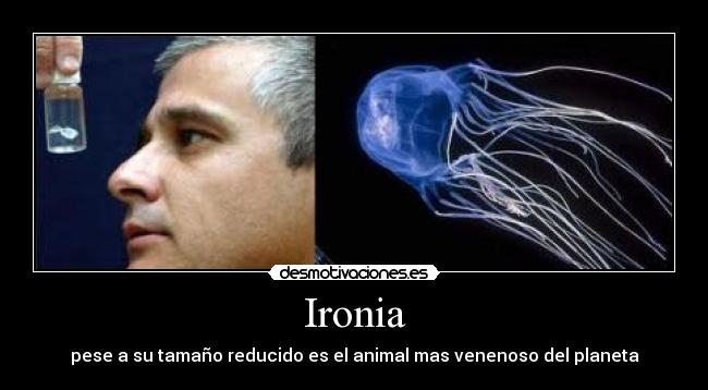 Ironia - pese a su tamaño reducido es el animal mas venenoso del planeta