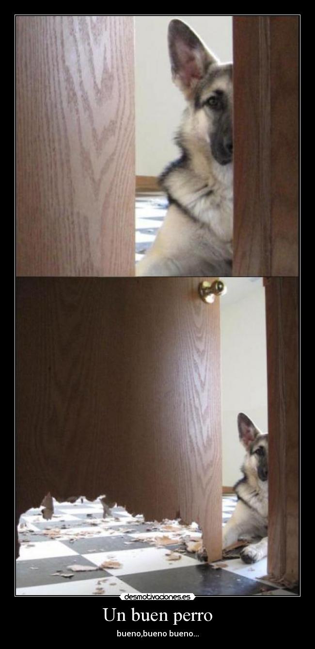 Un buen perro - bueno,bueno bueno...
