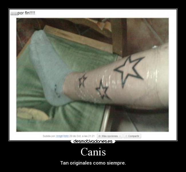 carteles estrellas desmotivaciones