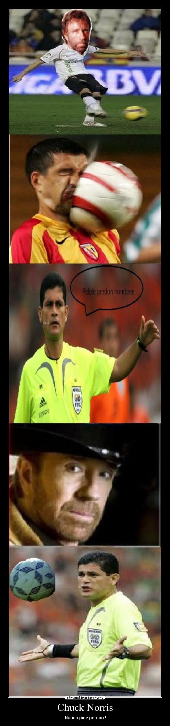 Chuck Norris - Nunca pide perdon !