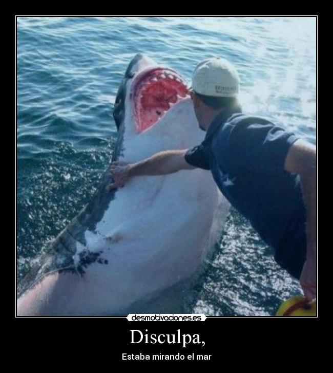 Disculpa, - Estaba mirando el mar