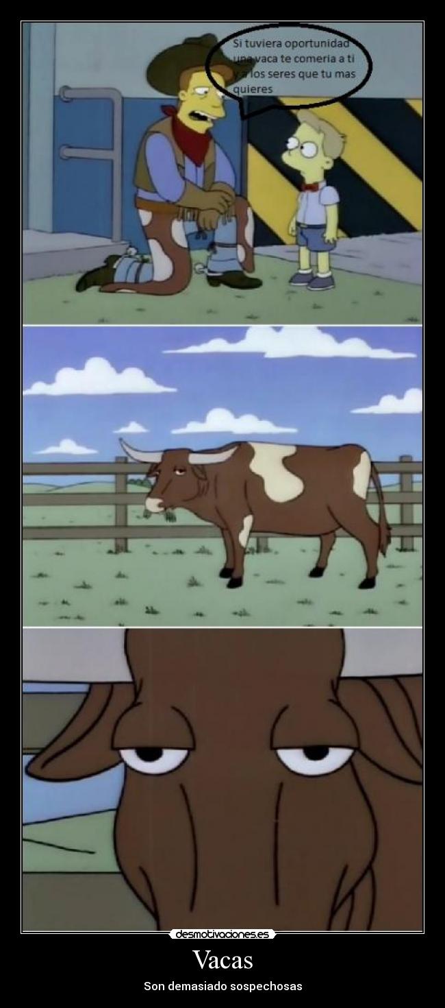 Vacas -