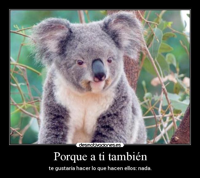 Porque a ti también - te gustaría hacer lo que hacen ellos: nada.