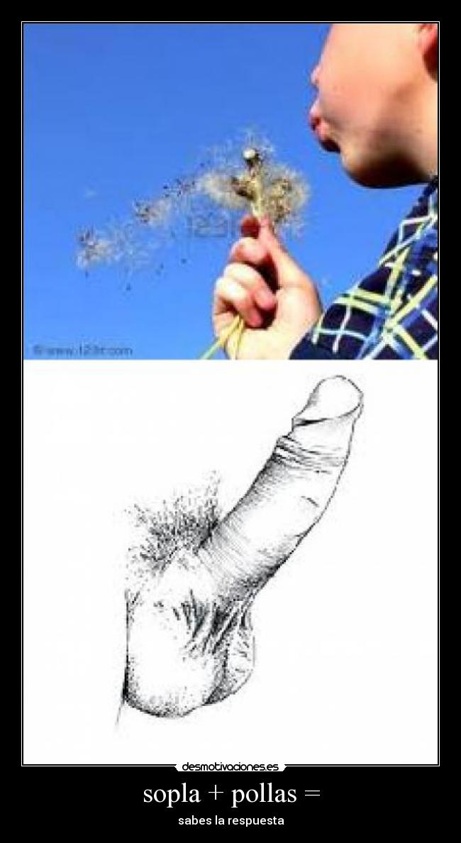 sopla + pollas = - sabes la respuesta