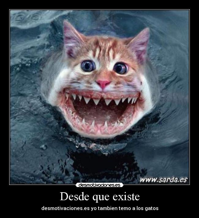 Desde que existe - desmotivaciones.es yo tambien temo a los gatos