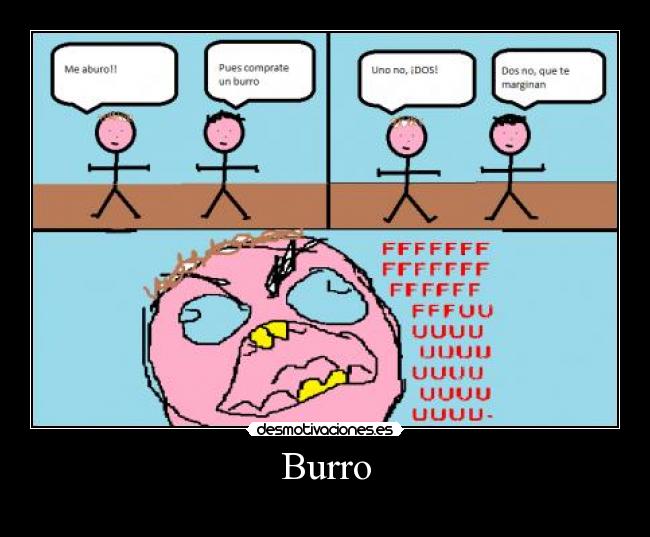 Burro - 