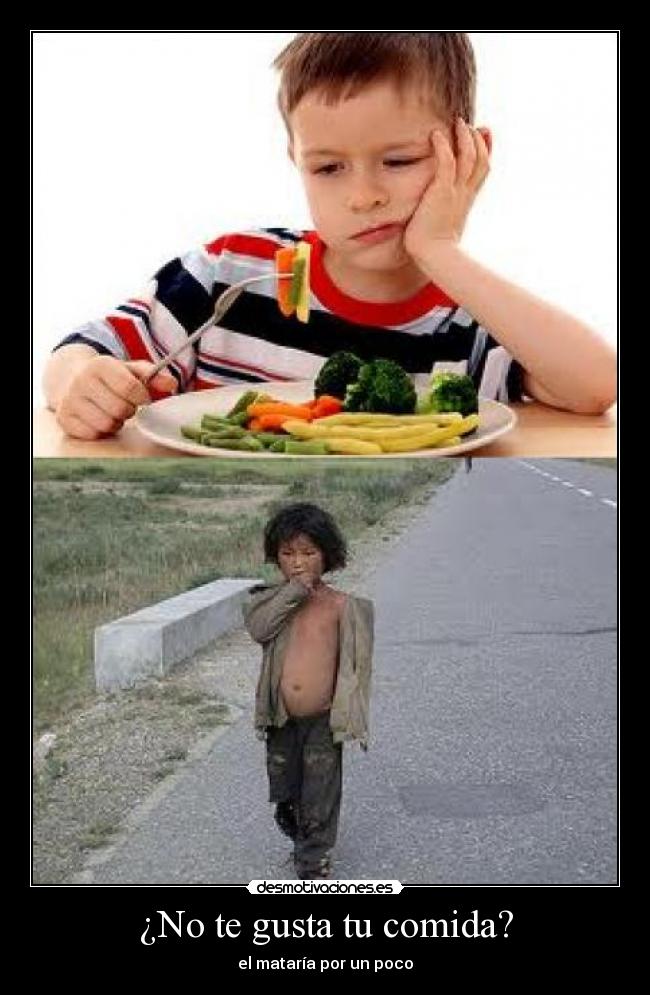 ¿No te gusta tu comida? -