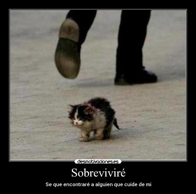 Sobreviviré - 