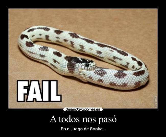 A todos nos pasó - En el juego de Snake...