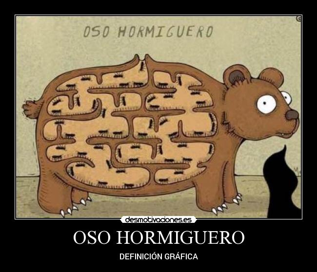 OSO HORMIGUERO - 