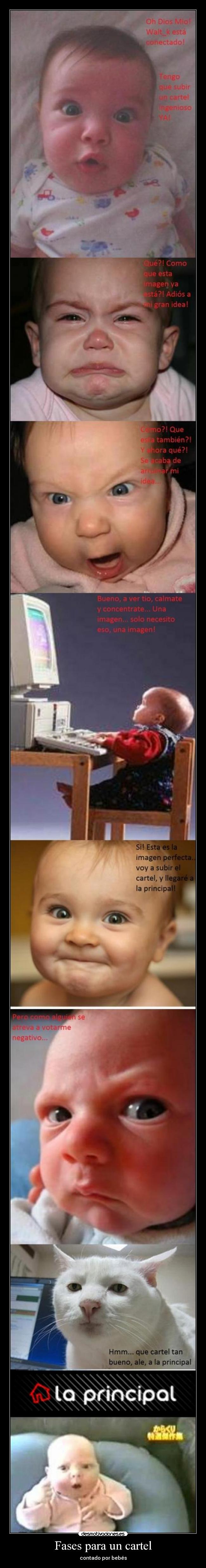 Fases para un cartel -