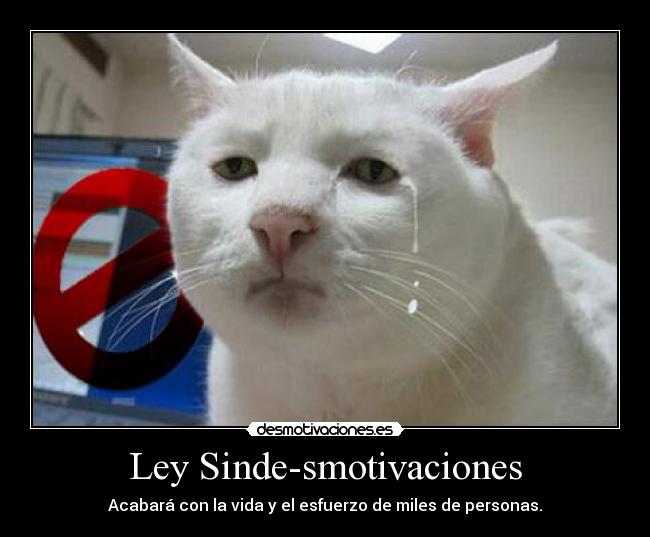 Ley Sinde-smotivaciones -